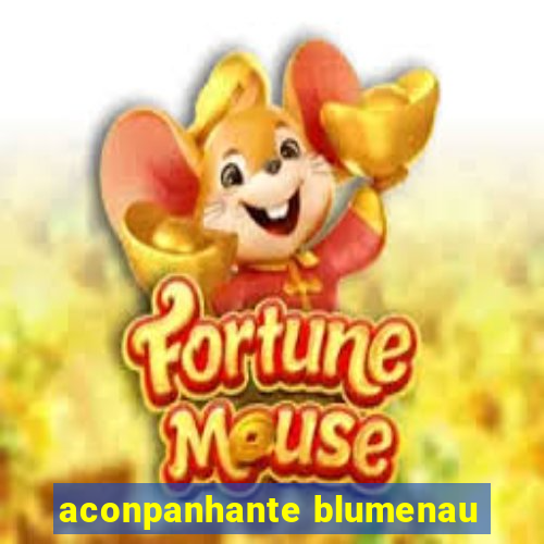 aconpanhante blumenau