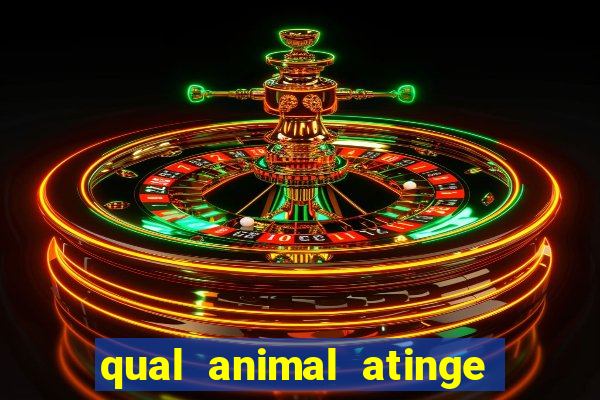 qual animal atinge 230 decibeis