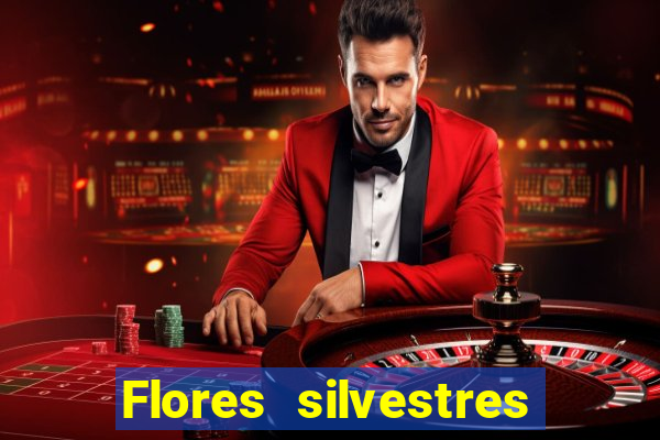 Flores silvestres brasileiras 25