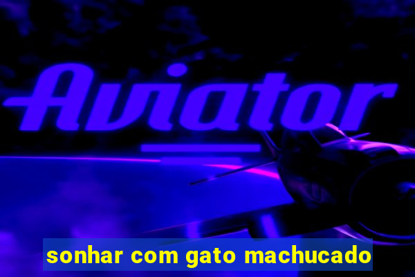 sonhar com gato machucado