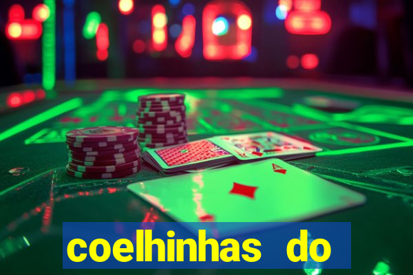 coelhinhas do brasil site