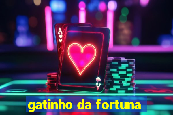 gatinho da fortuna