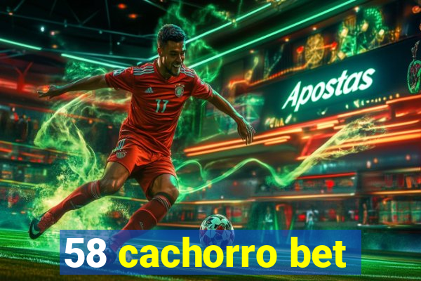 58 cachorro bet