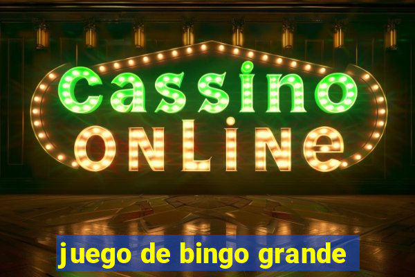 juego de bingo grande