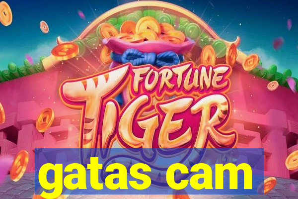 gatas cam