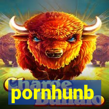 pornhunb