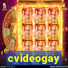 cvideogay