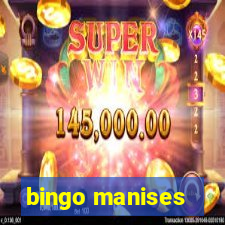 bingo manises