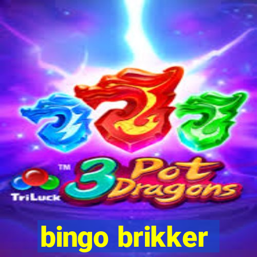 bingo brikker