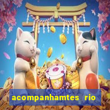 acompanhamtes rio de janeiro