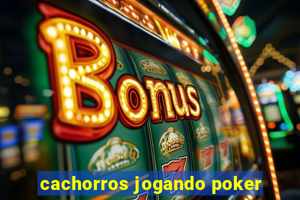 cachorros jogando poker