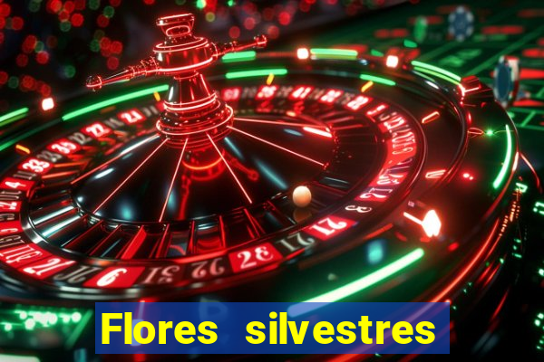 Flores silvestres brasileiras brasileiras flores silvestres nomes e imagens