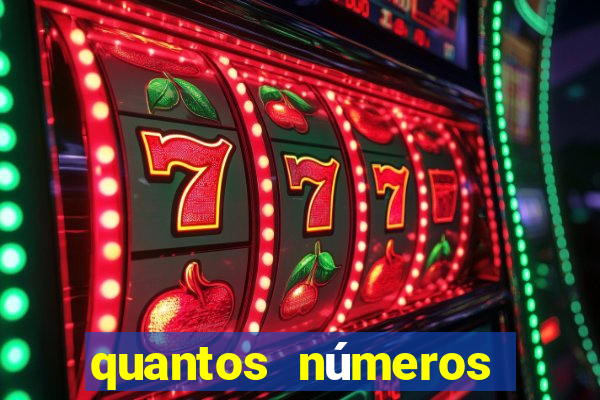 quantos números tem uma cartela de bingo