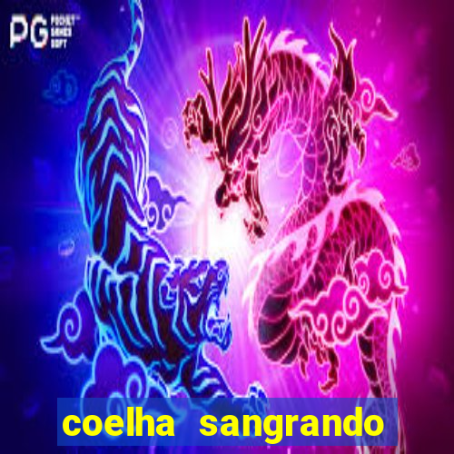 coelha sangrando pela parte intima