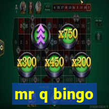 mr q bingo