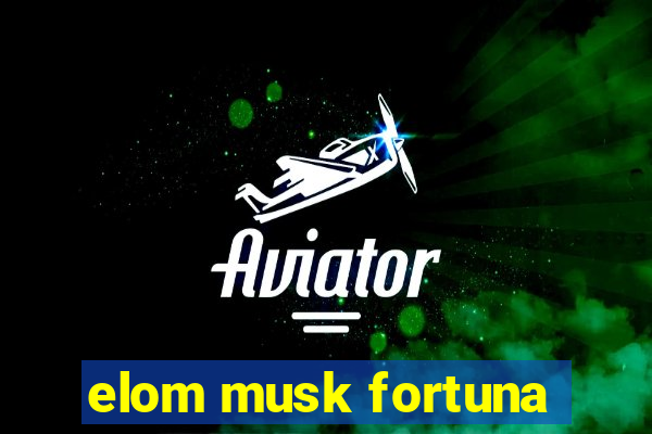 elom musk fortuna