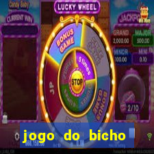 jogo do bicho aposta certa