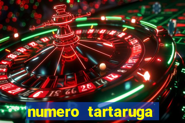 numero tartaruga jogo do bicho