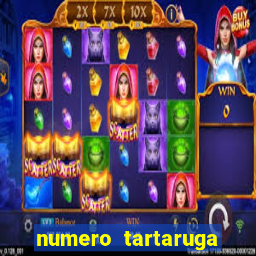 numero tartaruga jogo do bicho