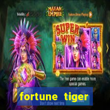 fortune tiger cassino pix