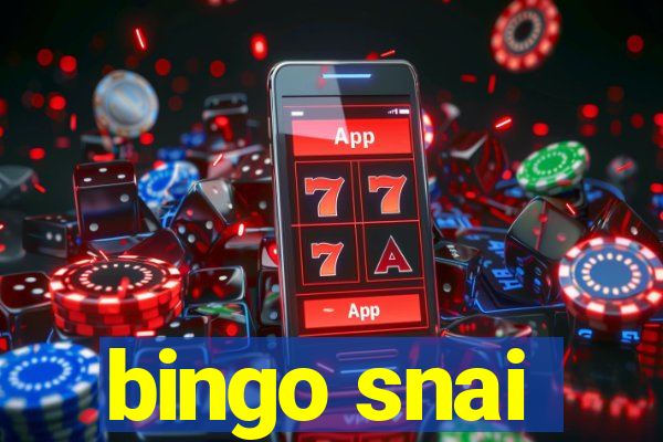 bingo snai