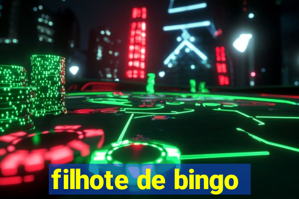 filhote de bingo