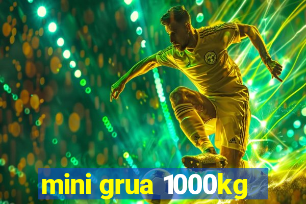 mini grua 1000kg