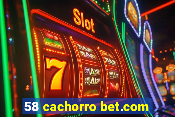 58 cachorro bet.com