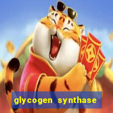 glycogen synthase kinase 3 beta