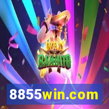 8855win.com