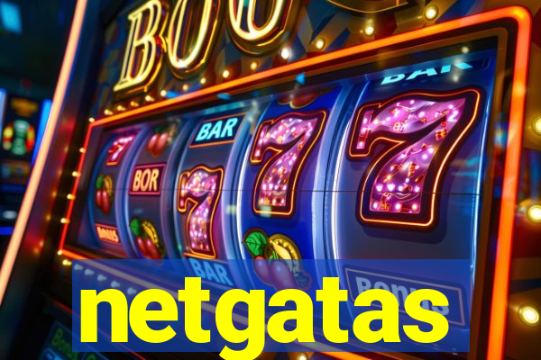 netgatas