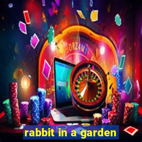 rabbit in a garden