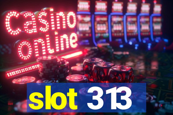 slot 313