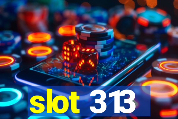 slot 313