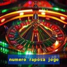 numero raposa jogo do bicho